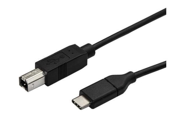Lanberg Cabo USB-C 2.0 Macho / USB-B Macho 3m Lanberg Cabo USB-C 2.0 Macho / USB-B Macho 3m